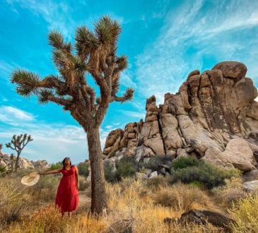 nine incredible california national parks