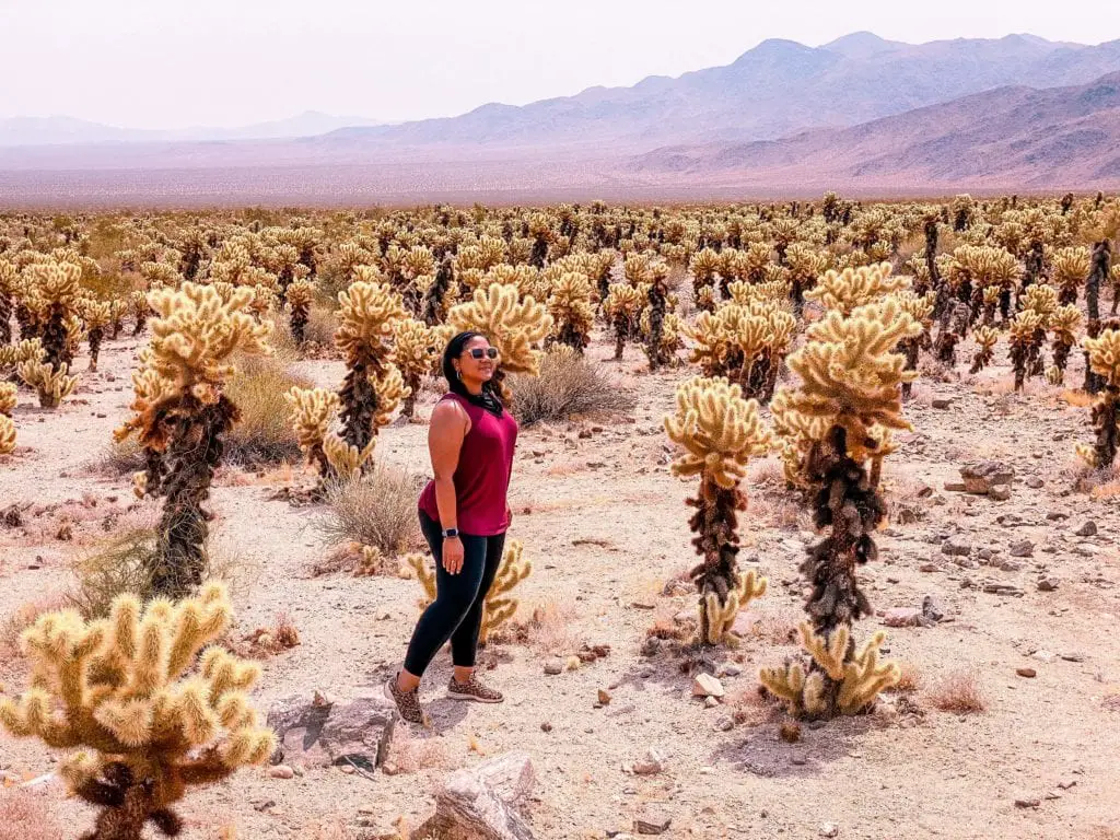 the best national parks for those with mobility issues