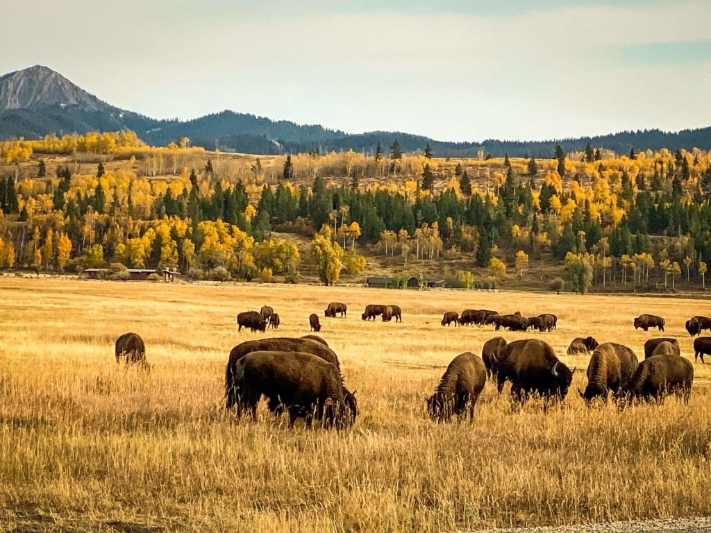 the best national parks for those with mobility issues