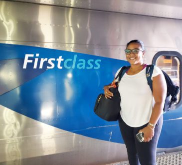 how to use amtrak bidup