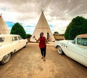 Petrified Forest National Park Travel Guide