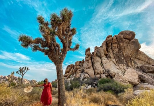 nine incredible california national parks